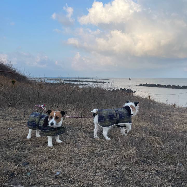 B31f24ec aa8a 4168 95fc bf05ccfd98c5 1740785881391