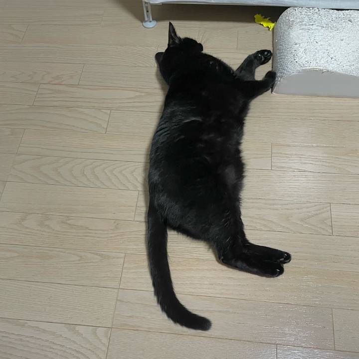 B31f3561 6a40 42fb 802d 3aaeb20260af 1738415366696