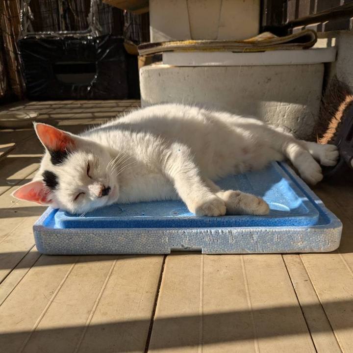 B31f38f1 4ede 473d a791 4bc4bc0e0930 1731457631308