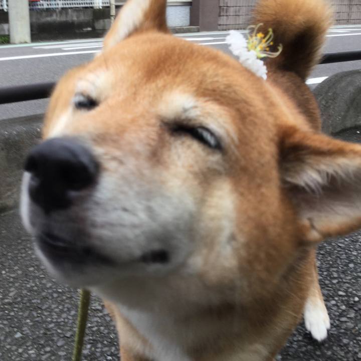 B31f4ef4 54ae 4c05 89b5 3162b55c5853 1563501286748