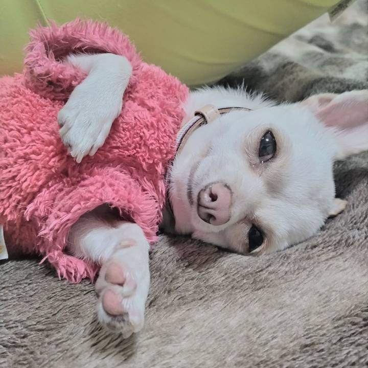 B31f5439 0321 4752 b255 fea91f6a8cf5 1737884497087