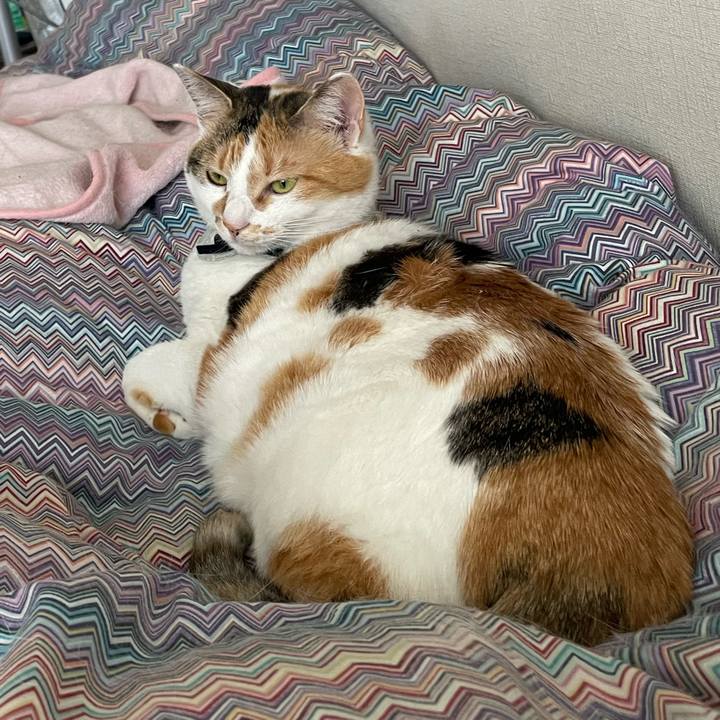 B31fbcfd 4b1a 45ef a15d e548ca50f820 1684280030224