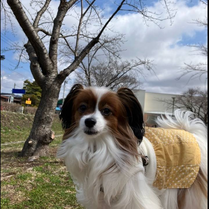 B31ff011 877d 4bb9 8baa fdc11c06f6e1 1744084594130