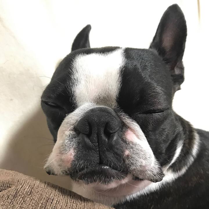 B3203140 f7b6 416e 9621 b346e27a04a1 1619329403756