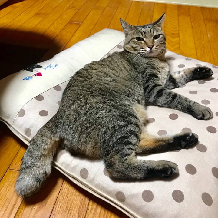 B3203d74 9a88 4a49 8bf1 b8c5fa7dbddf 1534947974657