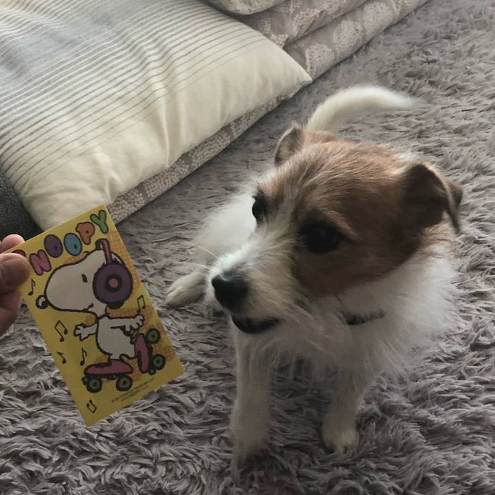 B3208cc6 02fe 4dba bb2f 05d73d7e48a0 1698413356615