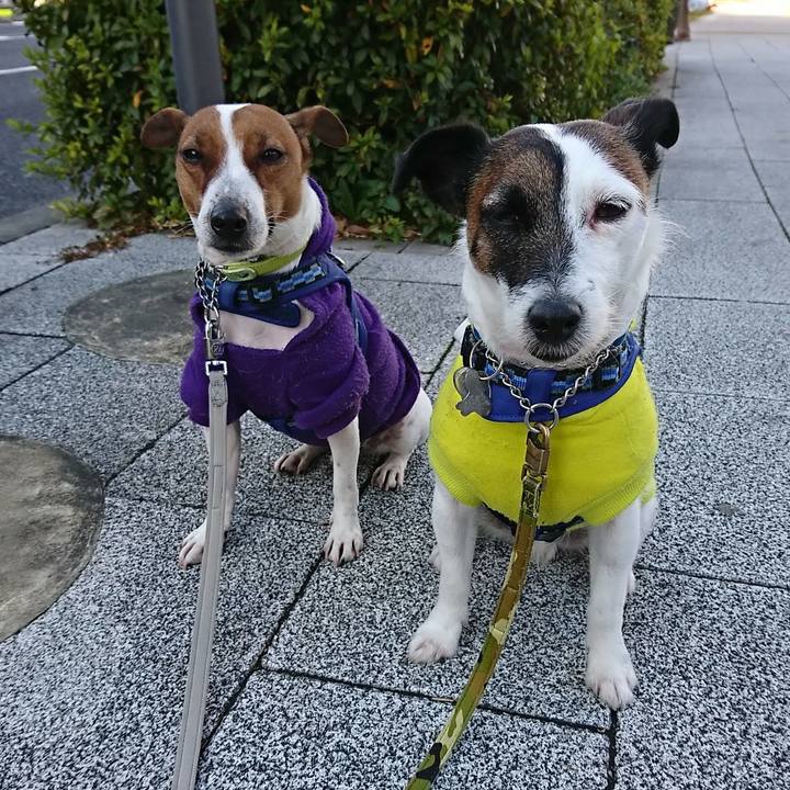 B320d0dd c127 4e3f 9de5 252e5811cb27 1578886204119