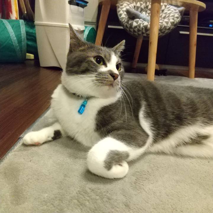 B320dff5 32f1 42e9 b629 1f04723c8321 1608289427727