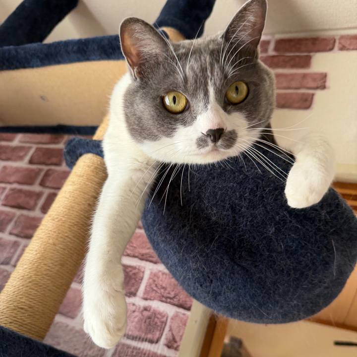 B320e3ff 7777 4bb4 bc2b e6a09ffc49b1 1762044962483