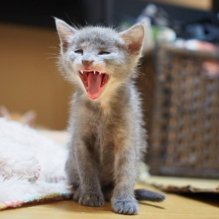 B3211329 5ee0 4a8a a8b2 5b1ae792c391 1570087405465