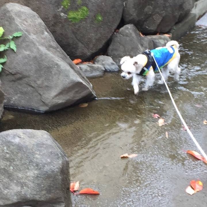 B3213cd4 5452 48a6 8e32 edc15bf820f5 1544161445395