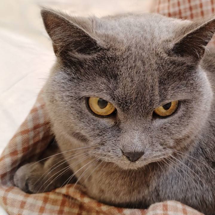 B3214c57 d12b 4203 b16c 640b1ce718b9 1773438403547