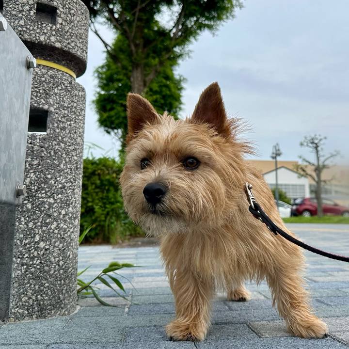 B3216d33 8a77 43d1 96ff f8ab3e93c942 1749879287278