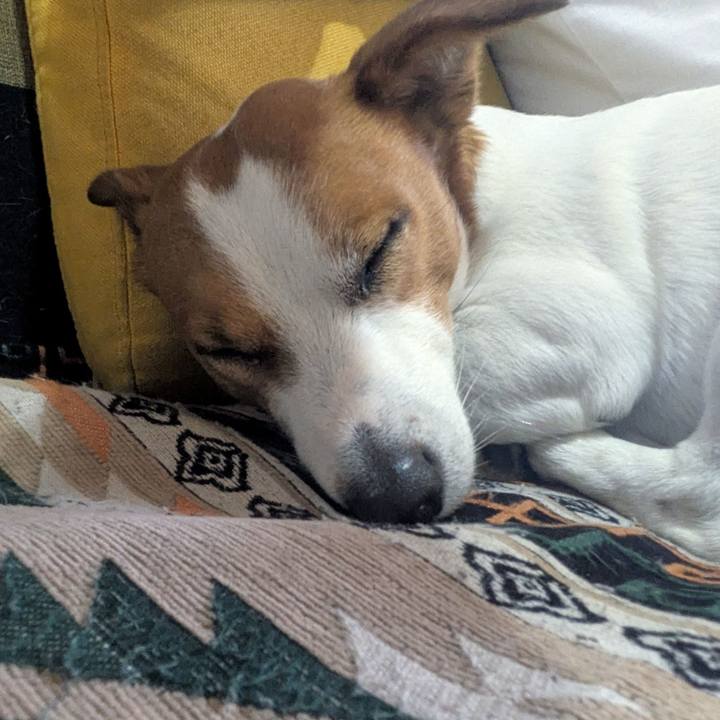 B3218087 0f99 497e 80f9 535499dfb2f0 1774958506162