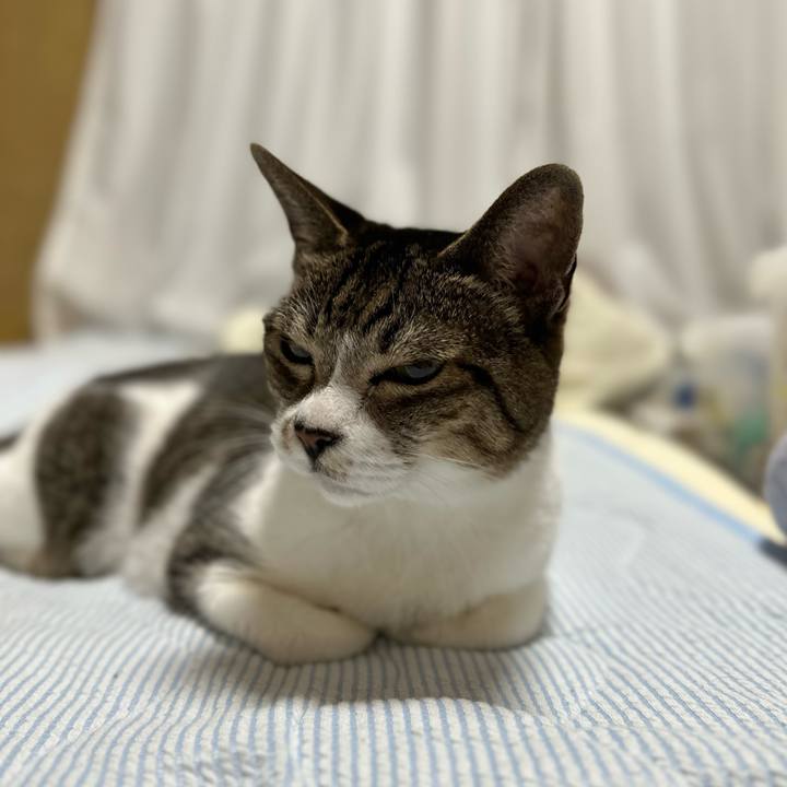 B321863c 1f3b 49f5 811e bda83a0c90f6 1664932984410