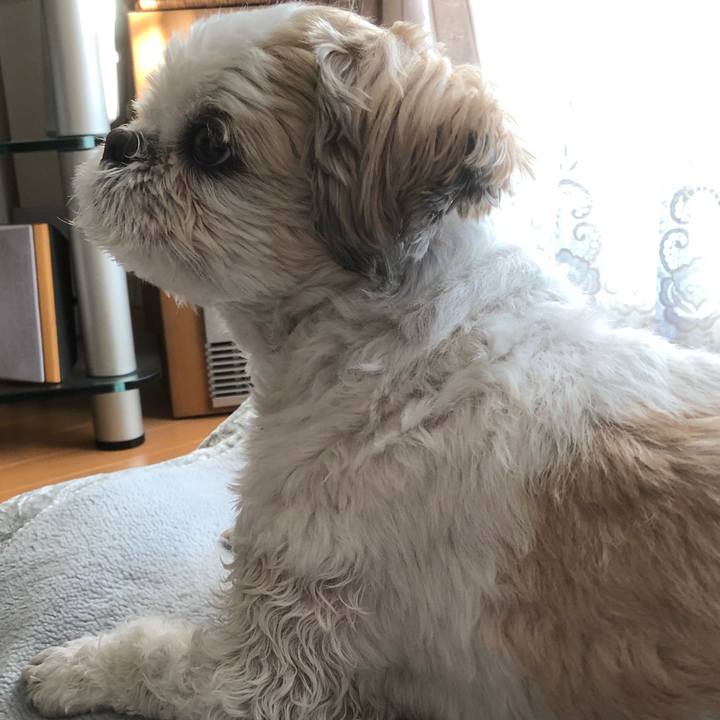 B321d4f8 cef7 4b66 a88c 223207cf9d6b 1610056768602