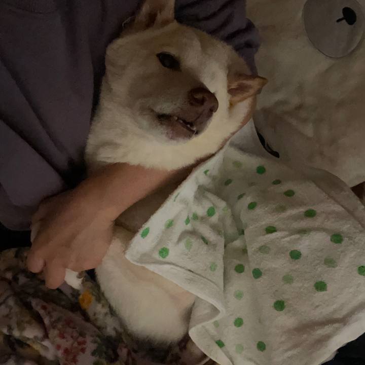 B321d927 6096 4e51 870b 7d130fa53395 1670281597431