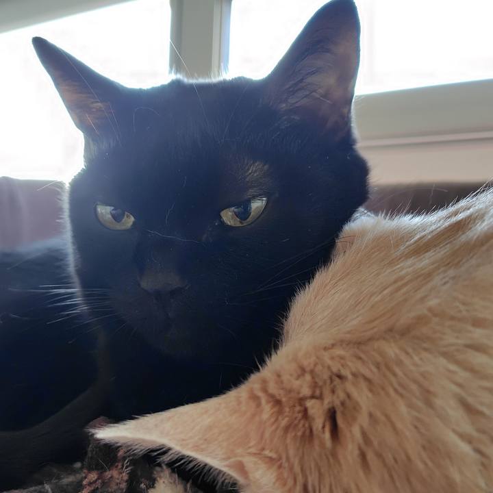 B321eccb 4863 4be2 bfc6 00445c70c9b8 1762381052525