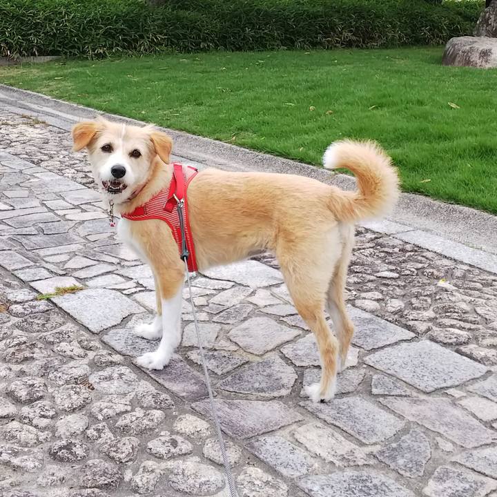 B321ee0f c55f 4479 8a1b 916239e549a6 1527288682513