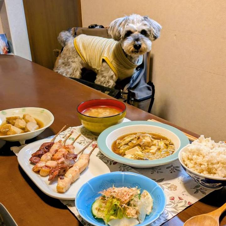 B321f68c 6bac 462d 9cca 9c393b3b5313 1761658148318