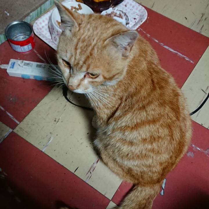 B3220f7b 091f 4f3a bba6 658b30514452 1554754958922