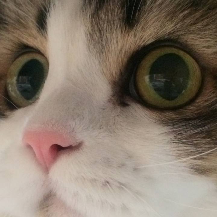 B3221d88 705d 4069 8ba1 a1978e163eda 1584483043458