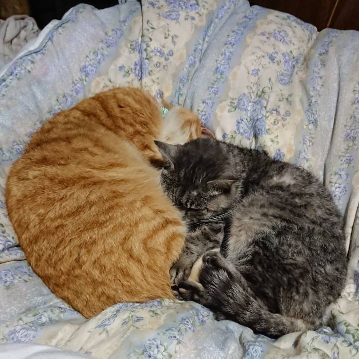 B32243f8 d205 4196 8d00 7bf4c4ffb73e 1582377100545