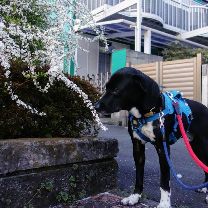 B322741a 538f 4137 a54c f2d0a53e5000 1615805276971