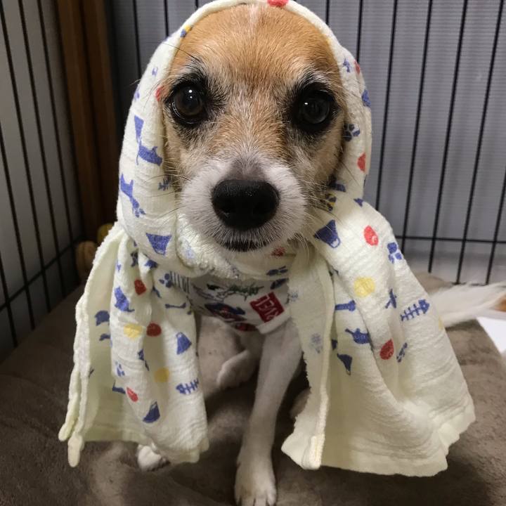 B322a856 a4d5 4788 a74e 87c5435b6b18 1564828739427