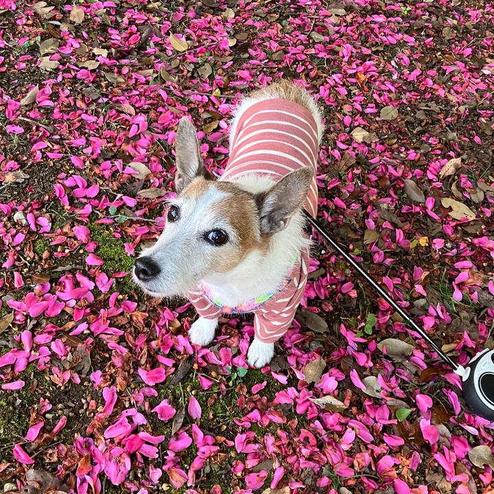 B322d5bd ea3e 4b43 9213 b1729eb631bc 1732490856550