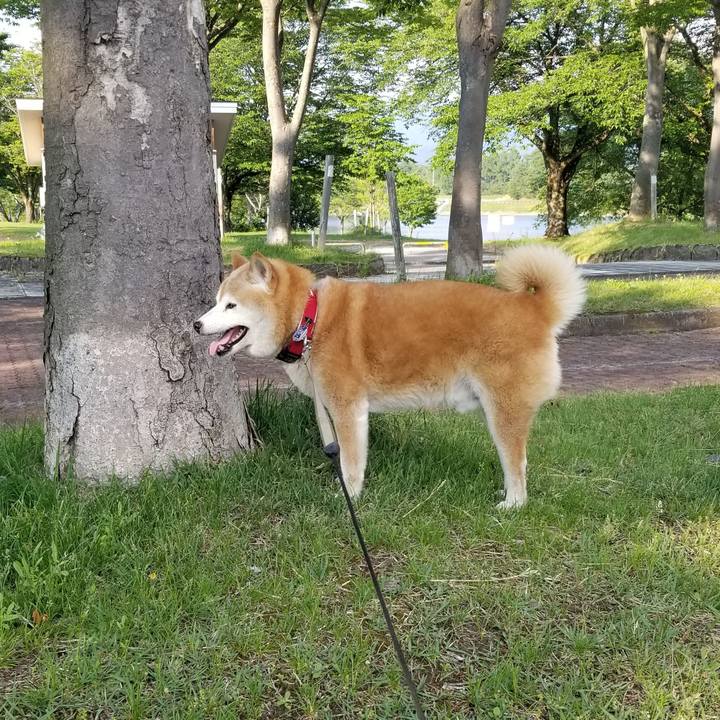 B32365c7 0b93 4b67 a3a5 f11bd24c1058 1717229022939