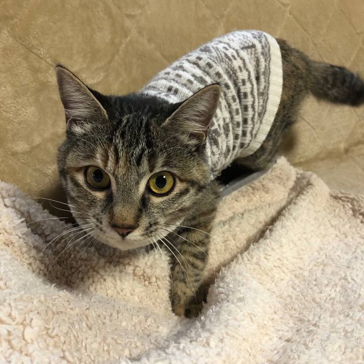 B32385e2 bf1f 4308 a3d6 bcabf4e65aa5 1608685422049