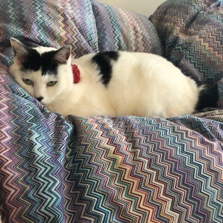 B3238b67 e6a2 45ea 91d7 a781f25e5952 1547163057586