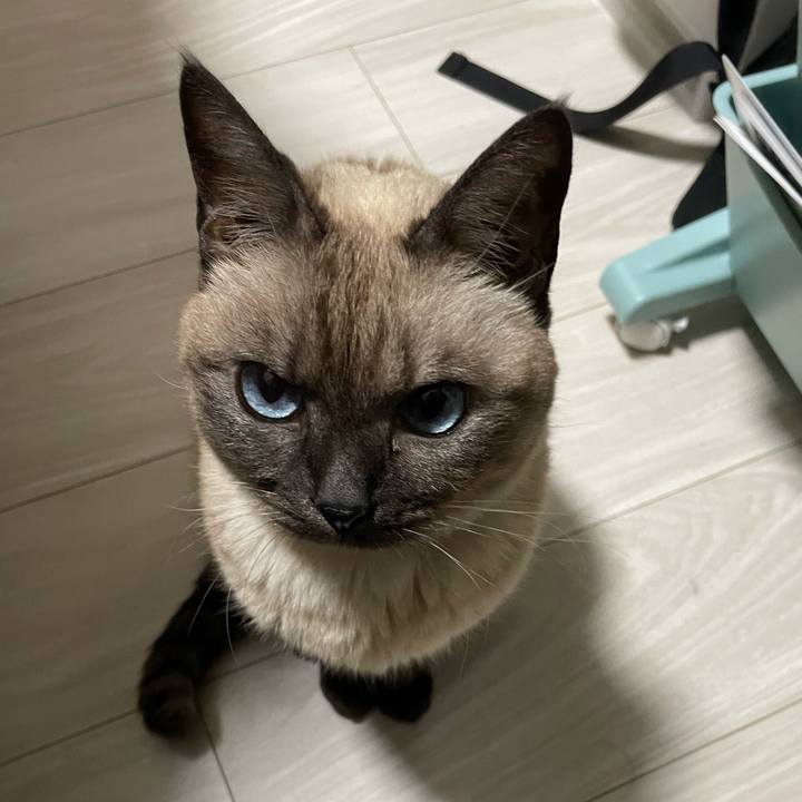 B32394d0 faea 4109 acef 5c9bdc7641e8 1765898378786