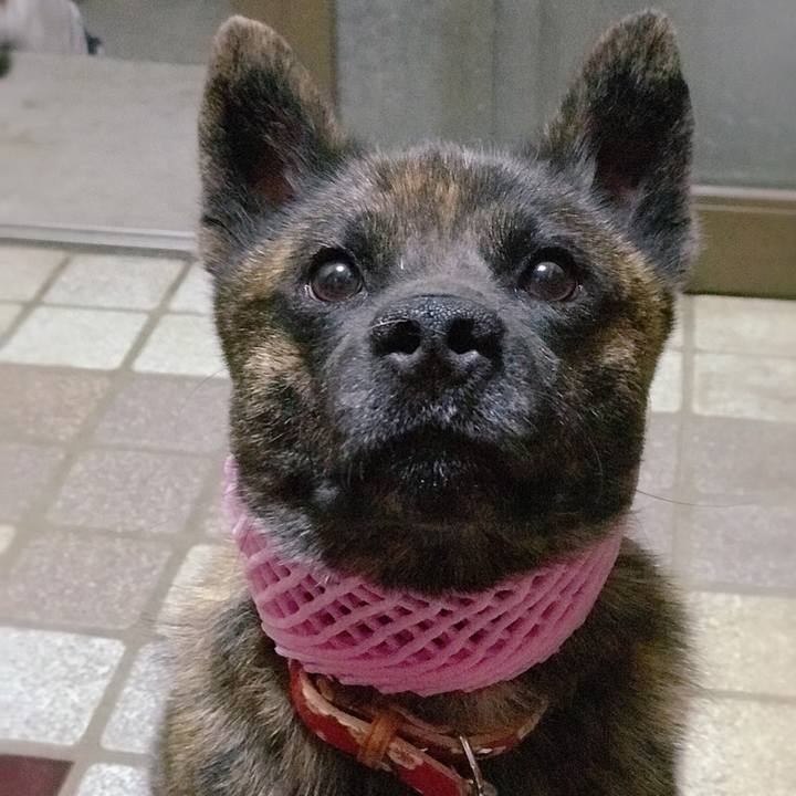 B323a281 8fdf 438e b8a0 9b56396172a1 1534506333967