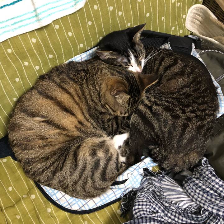 B323b0cd 94c8 4f9d 8538 7feb7585143c 1524535889076