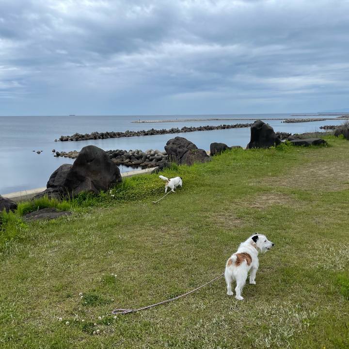 B323fb60 2e8a 4de4 9aa9 81064cc959fe 1684110563869