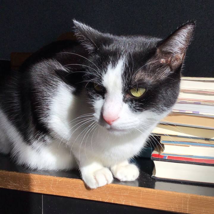 B324123d 3908 4278 ad8a 1924871a71cb 1740042947602