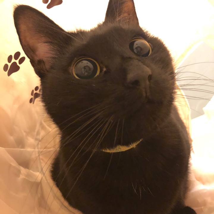 B3242998 93f6 45aa b71f 63509542554b 1548505916028