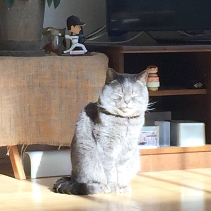 B324367d e686 433f a19b 731ef3c4e6b1 1518147261857