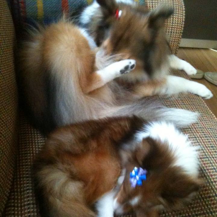 B3246570 61c0 4cd4 a08f fff99ec1405c 1522061989386