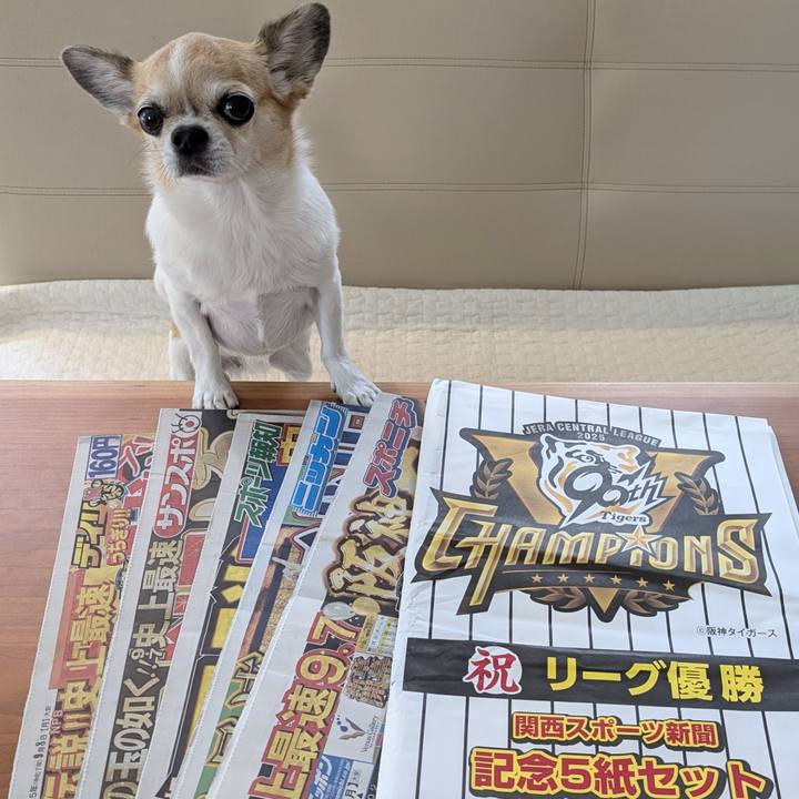 B324c84d e92c 4597 8e06 6a91a1c0ab88 1757559668682