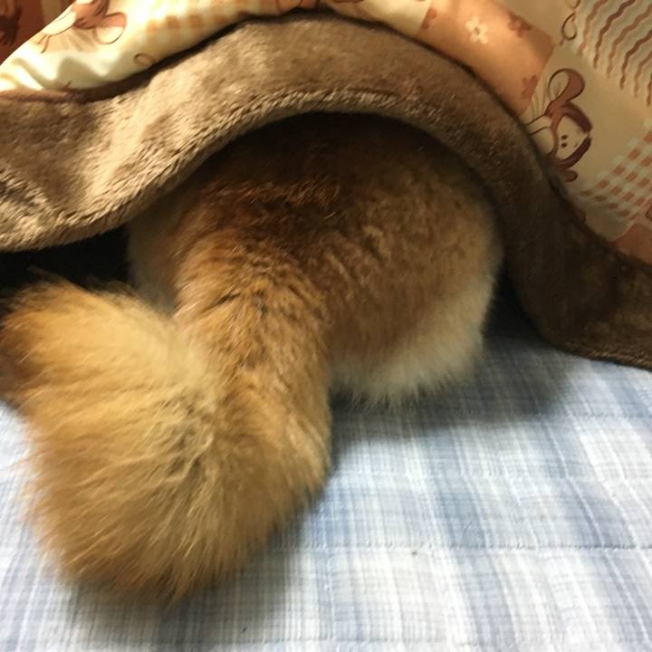 B3251f26 6e87 43d5 8ae6 a9ec03cf5197 1509194394220