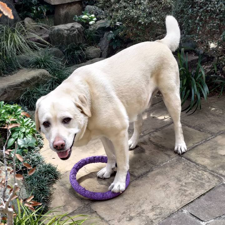 B32542d0 ad80 4201 8f62 227232a14f45 1647489784032