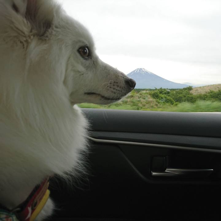 B32551d2 b852 44cd 8c35 e3537fead342 1622174931717