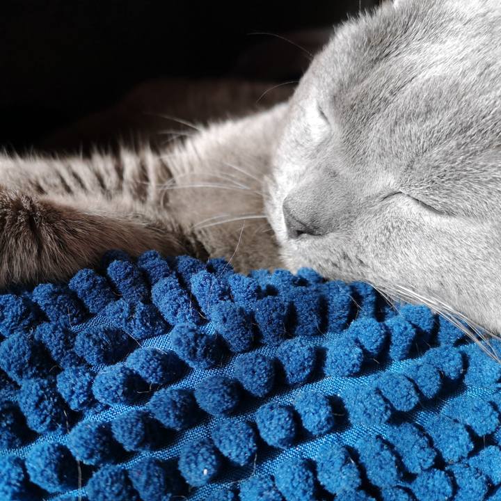 B3256799 9a0e 4e02 aee8 af70cbb04ca3 1640655080216