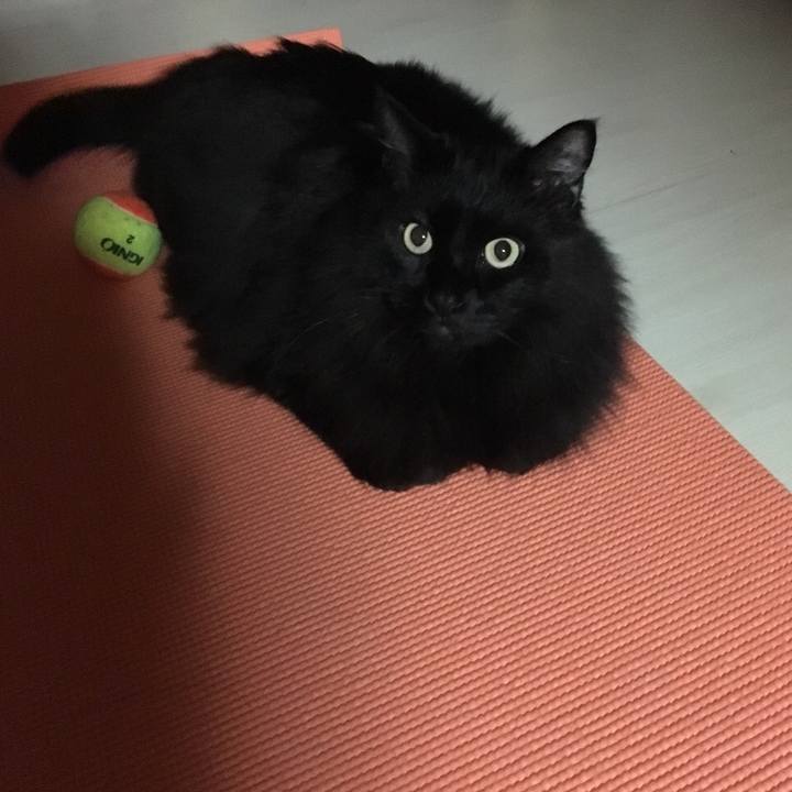 B32573cf df84 4639 a9b8 f02e78226e2d 1544974586762