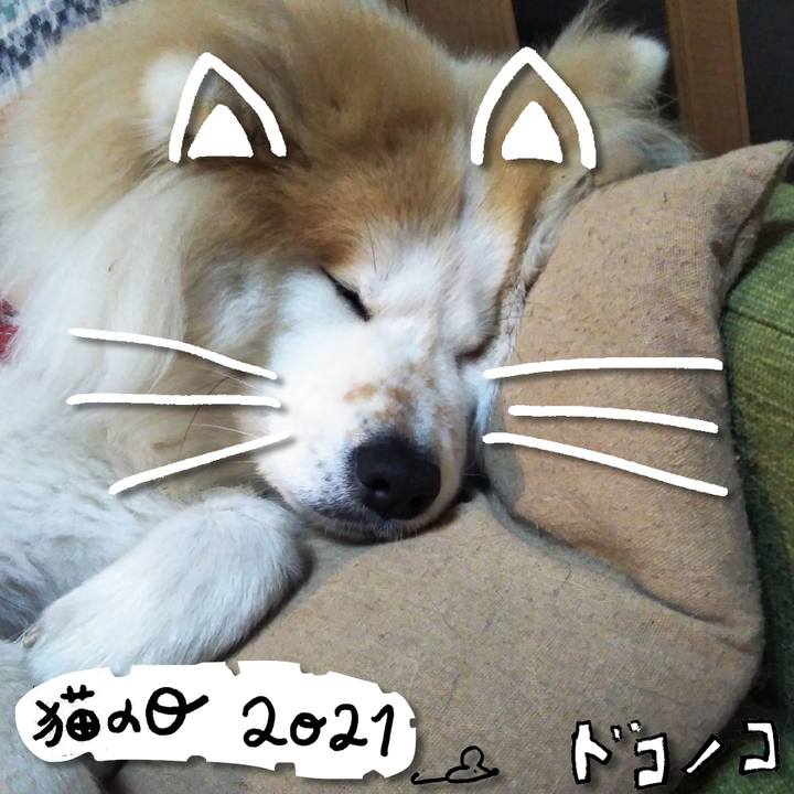 B3258498 159b 46a9 a104 6e4342075928 1613995850600