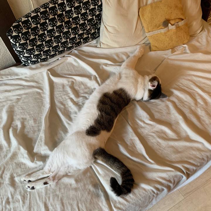 B3259207 7a51 4fe7 80c8 32c9b7554c5d 1585675512722