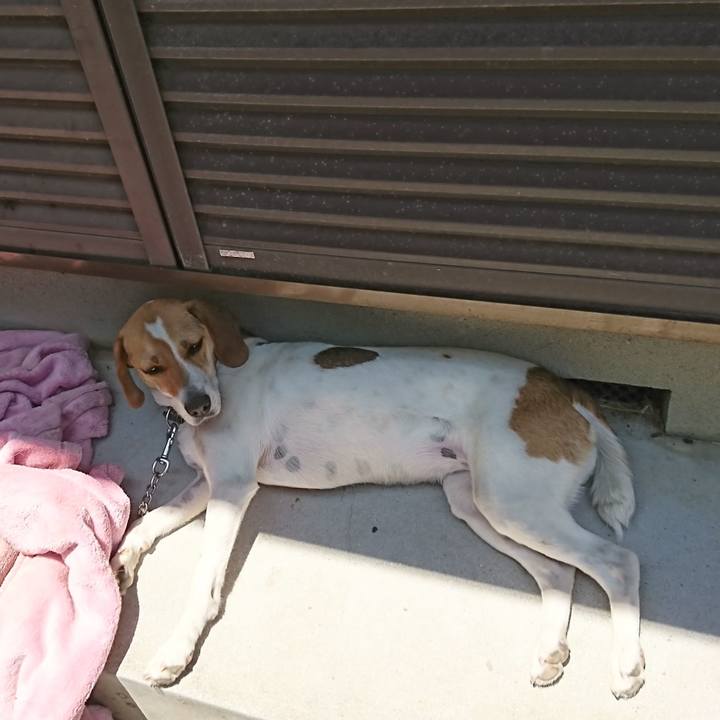 B3259309 7f63 43f2 a07e 4074d9853f00 1560395789163